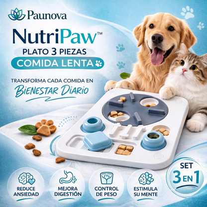 NutriPaw™– Plato 3 Piezas Comida Lenta